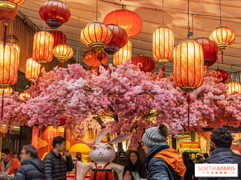 Paris Food Tour spécial 13e, quartier chinois - Tang Frères