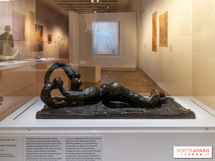 Picasso et la Préhistoire, les photos de l'exposition au Musée de l'Homme