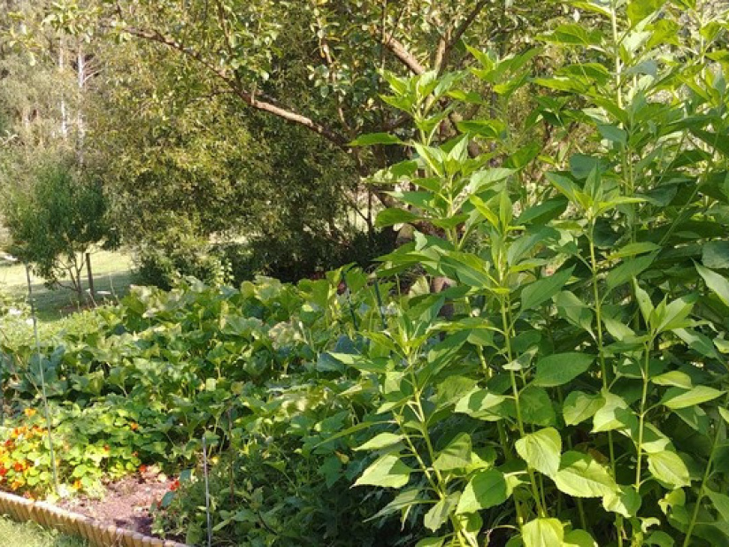 Le centre relaxant H2E et Gîte des Prés de Garnes - 20180718 174343