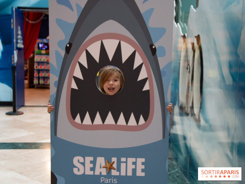 Aquarium Sea Life - IMG 8409