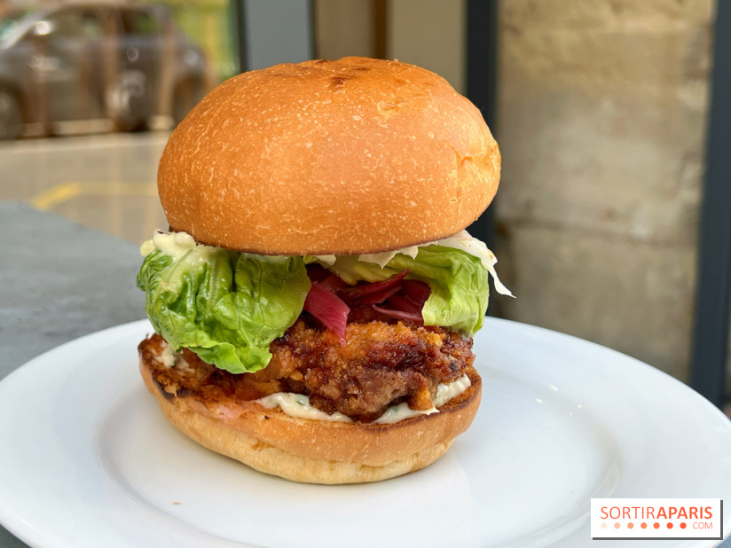 Nakatsu - Burger karaage