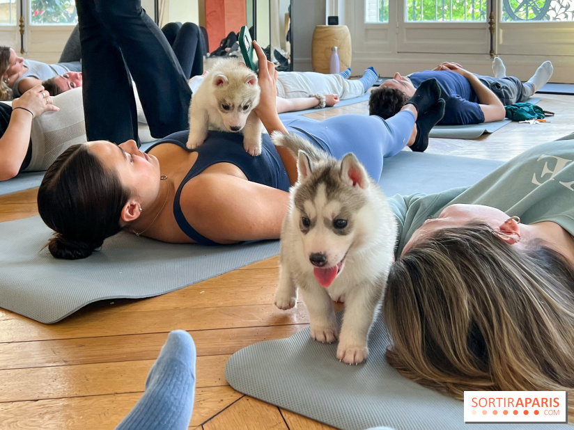 Puppy Yoga