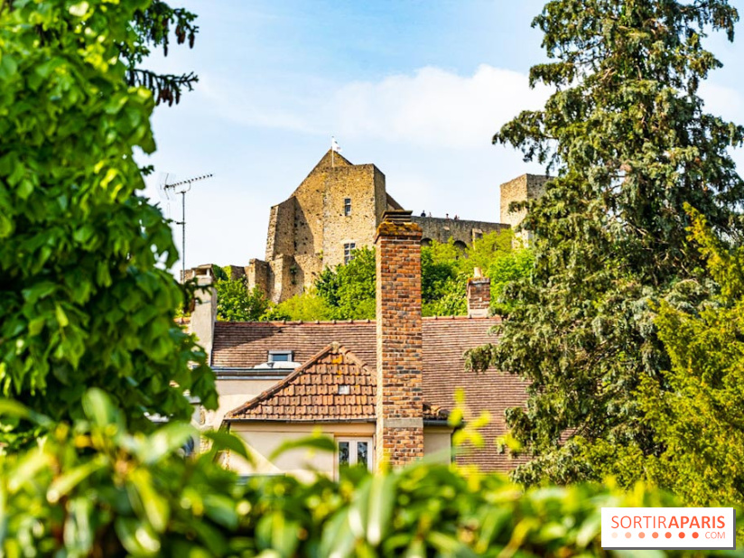 Le Château de la Madeleine à Chevreuse  -  A7C3890