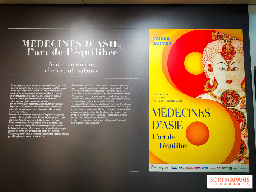 Médecines d'Asie, l'art de l'équilibre : l'exposition bien-être étonnante du musée Guimet - photos