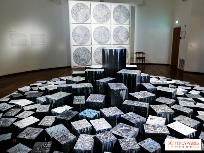 Carte blanche à Park Dong Soo au musée Guimet, nos photos - IMG 0095