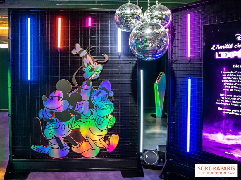 Disney 100 L'Amitié c'est Merveilleux