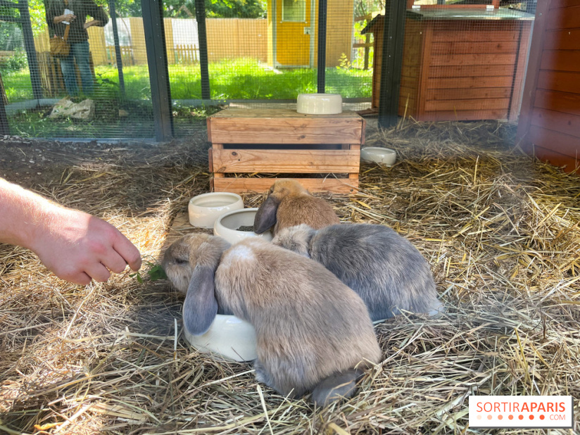 La ferme de la Villette et ses animaux