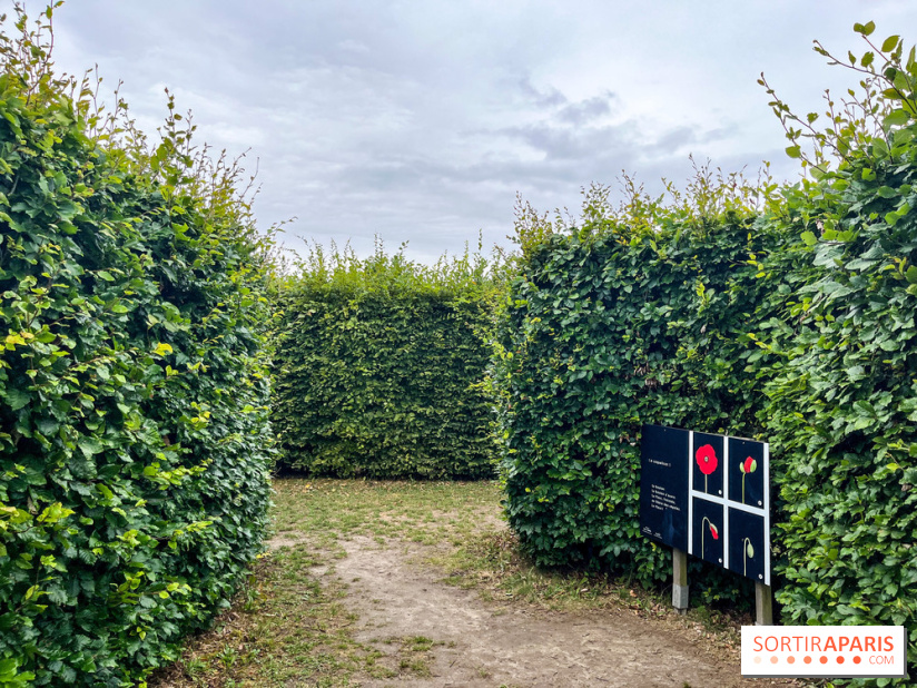 Les labyrinthes de Gally 2023 - image00013