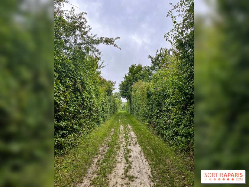 Le parc de la Haute-Île à Neuilly-sur-Marne - image00001
