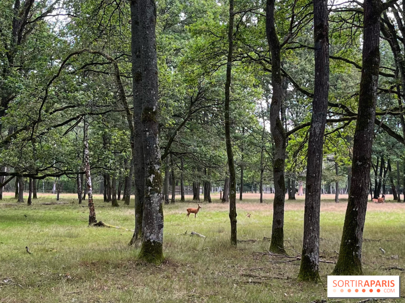 Espace Rambouillet - IMG 4375