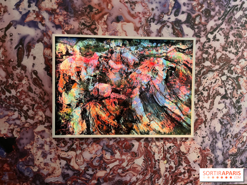 Poetry of Earth de Maya Rochat