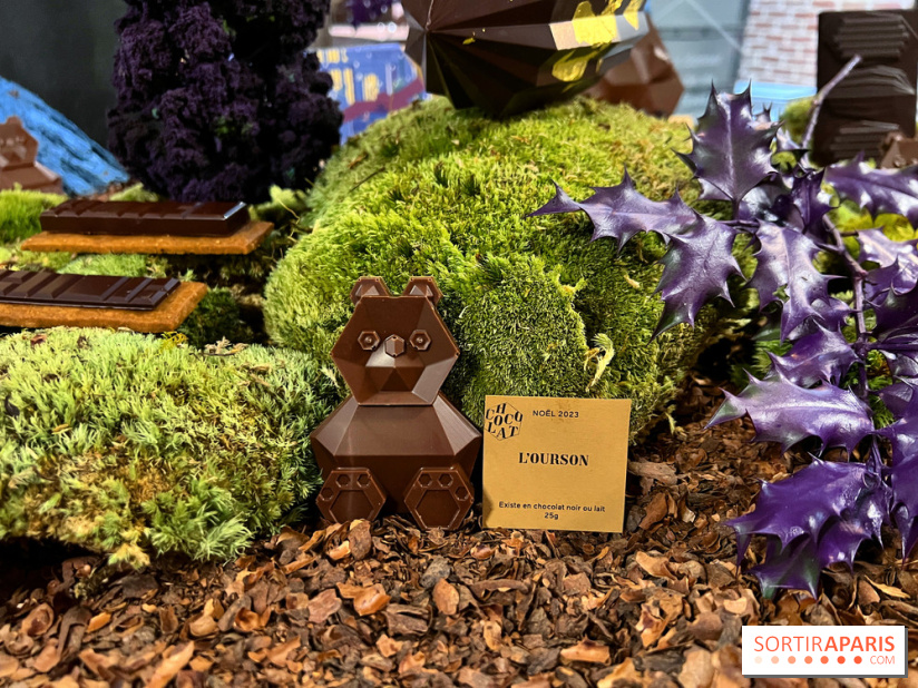 Alain Ducasse - Chocolats de Noël 2023 - 1D457CCD 35EE 42A9 B289 B94B4C0D8FC9