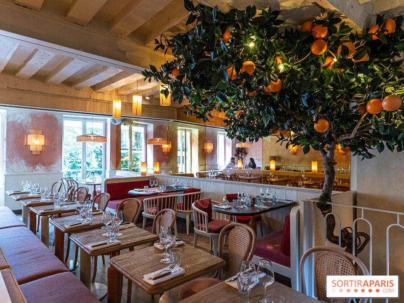 Album Photos Pomelo bistrot méditerranéen Paris 2