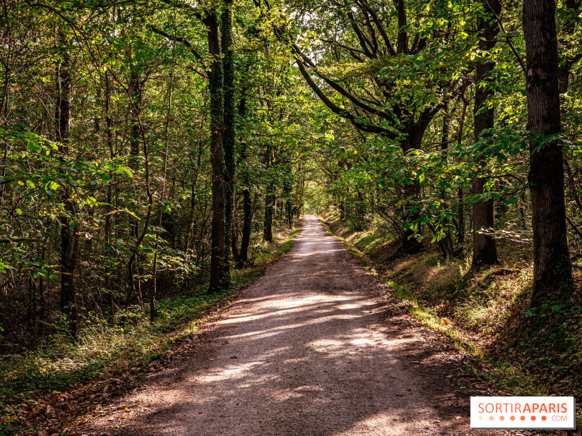 Le sentier des Maréchaux à Senlisse - Vallée de Chevreuse -  départ
