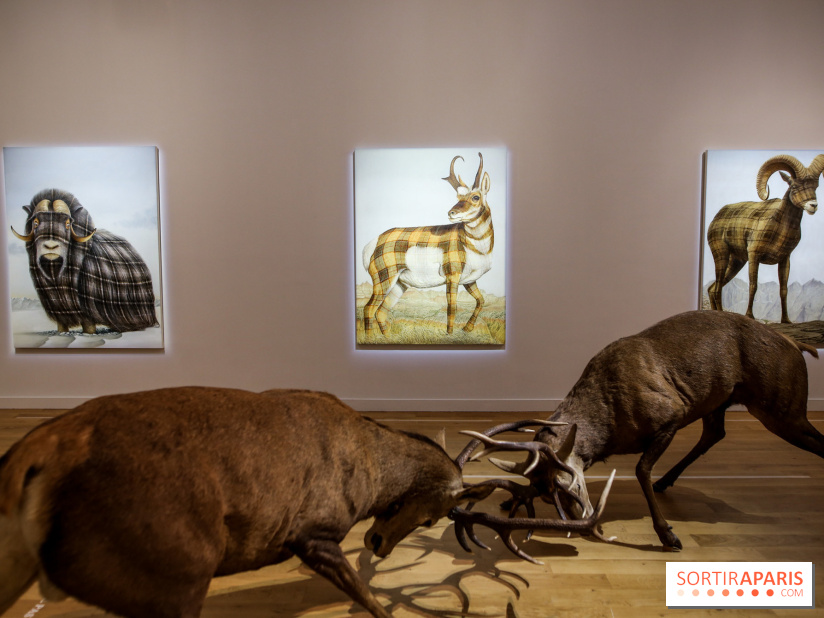 Sean Landers, les photos de son expo au Musée de la Chasse et de la Nature
