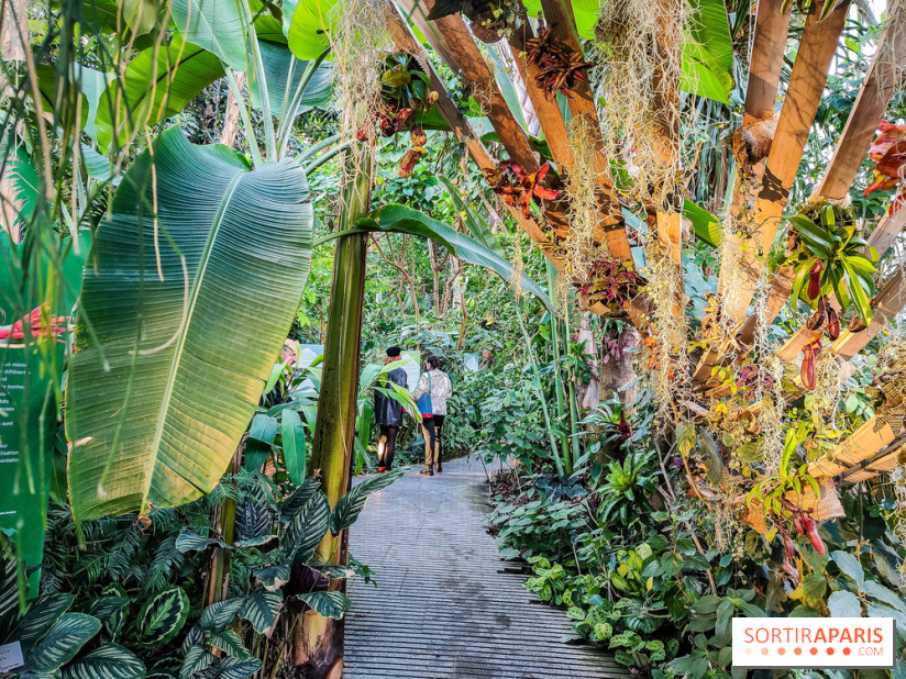 Automne Tropical 2023