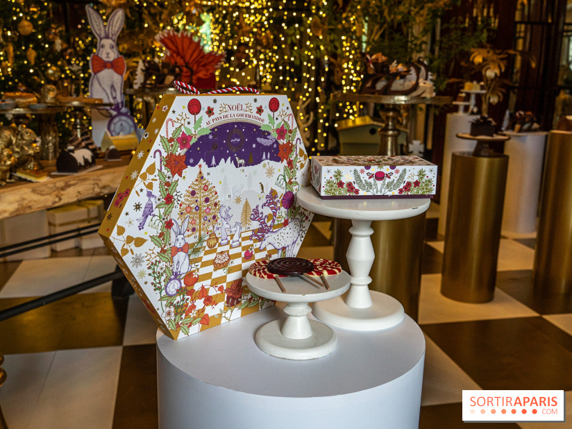 Bûches de Noël 2023 et galette 2024 de Lenôtre  - A7C0836