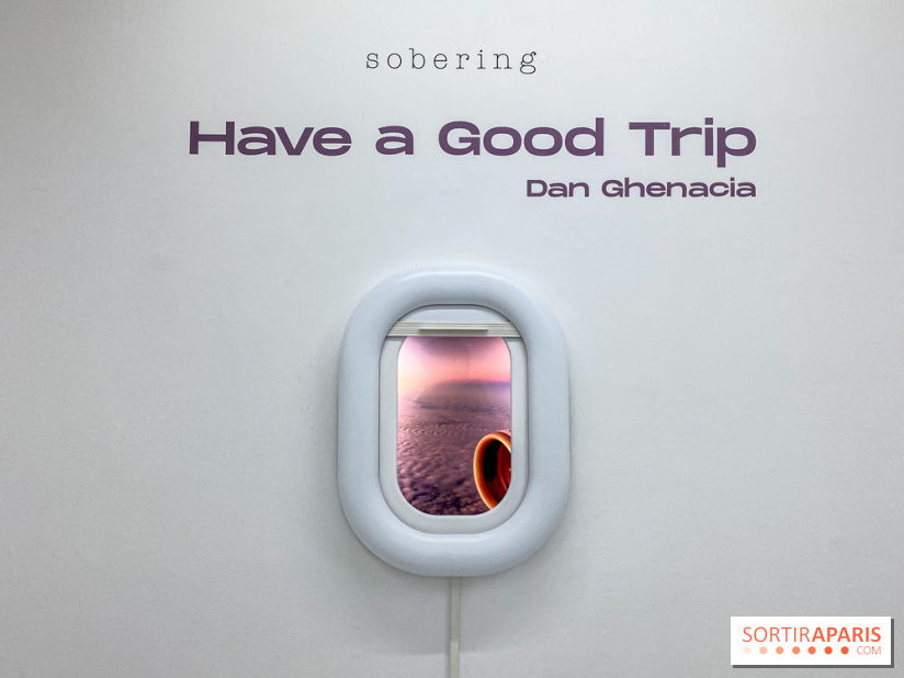 Exposition immersive Have a Good Trip Dan Ghenacia Sobering Galerie