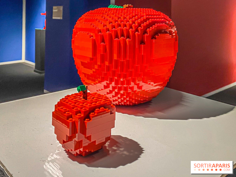 Expo The Art of The Brick Galerie Montparnasse - IMG 3134