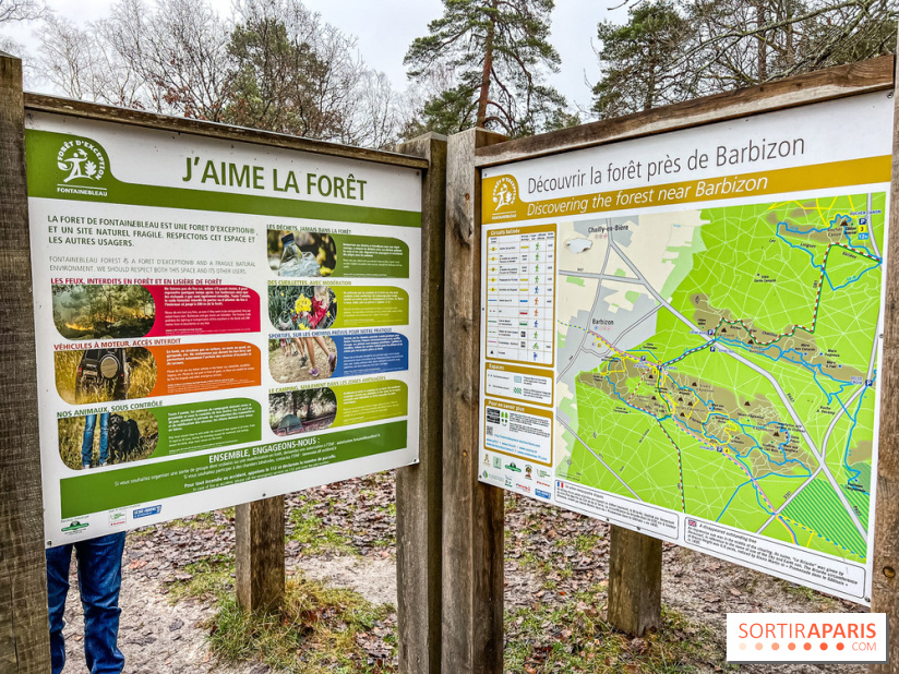 Le sentier de l'érosion à Fontainebleau - balade en forêt - IMG 6595