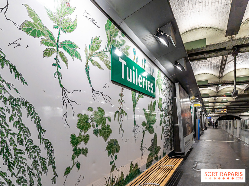 Le Métro Tuileries en mode végétal -  A7C5656
