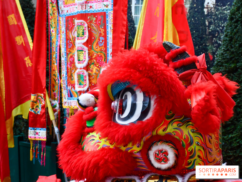 Visuels Nouvel An Lunaire / Nouvel An Chinois - DSC 0669