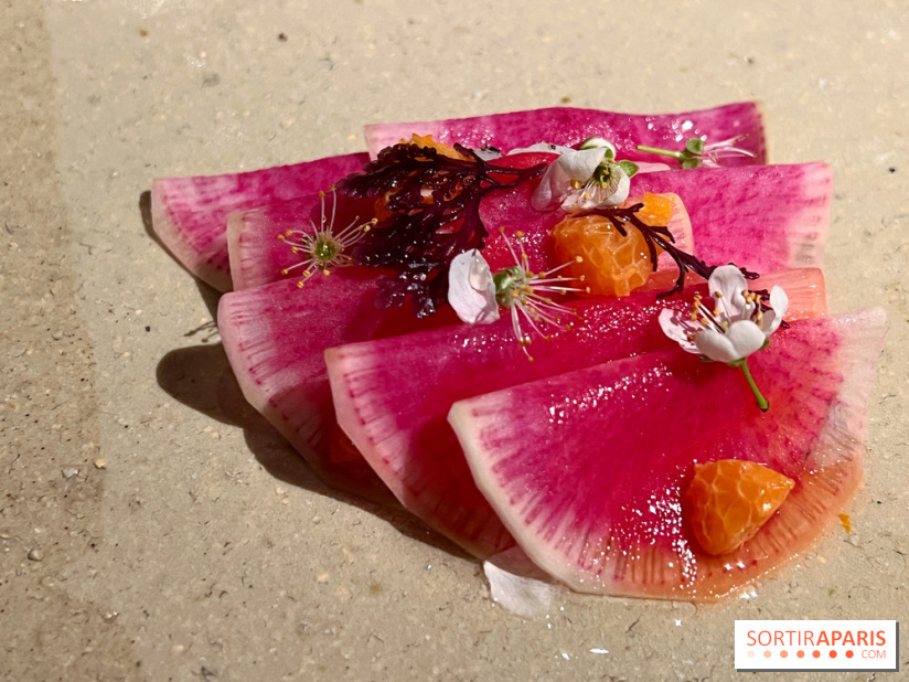 Datil - Radis, Saint-Jacques, ail