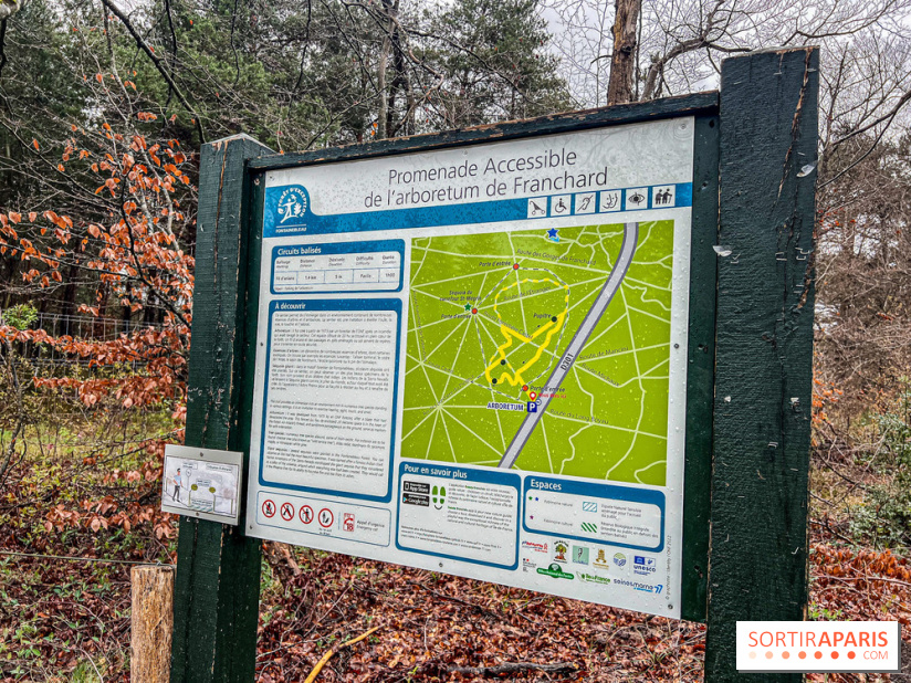Arbor&Sens, l'Arboretum de Franchard en forêt de Fontainebleau - les photos - IMG 7897
