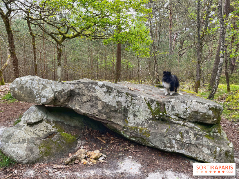 Dolmen de la Pierre Ardoue - IMG 0972