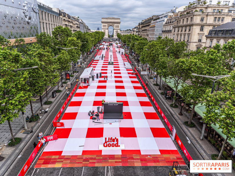 Grand pique nique des Champs-Élysées - photos