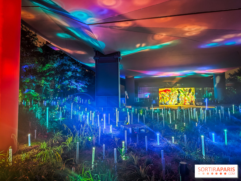 Nuit Blanche 2024 au musée du Quai Branly - IMG20240531231636