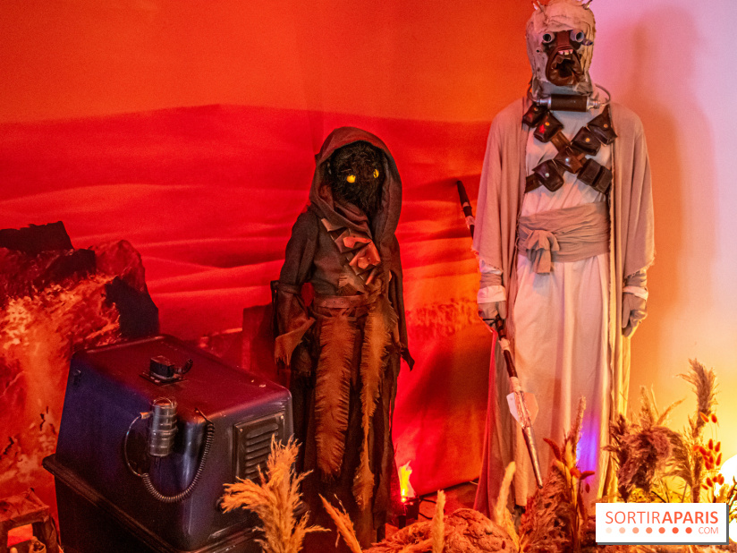 Star Wars : Fans of the Galaxy, l'expo à découvrir dans une galaxie lointaine, très lointaine