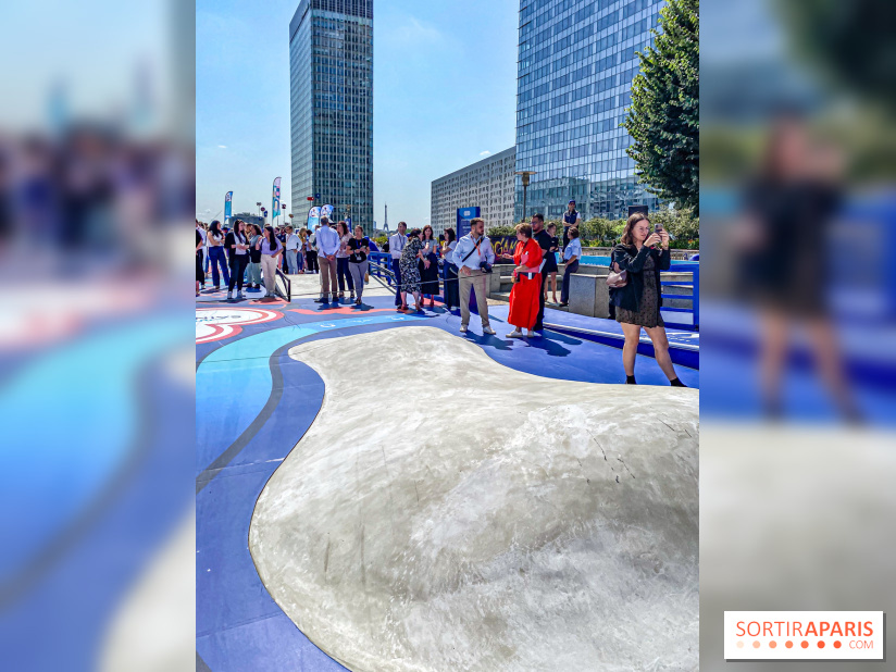 Saint-Gobain Skate Game