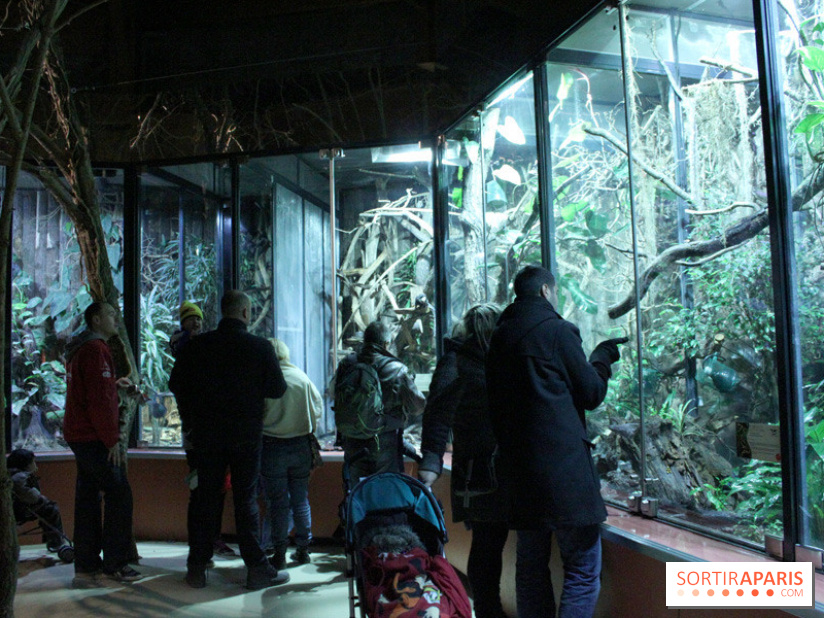 L'Arche des petites bêtes au Zoo de Thoiry