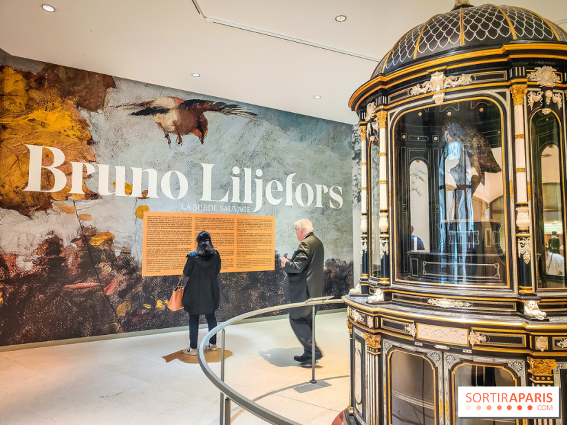 Bruno Liljefors, la Suède sauvage : l'exposition poétique se dévoile en images au Petit Palais - IMG20240930093907