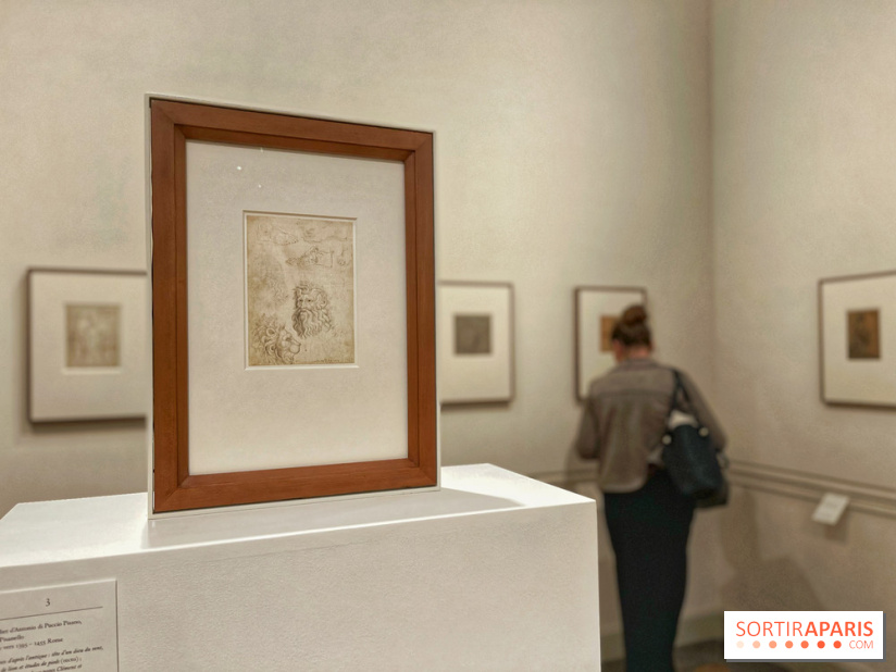 Naissance et Renaissance du dessin italien