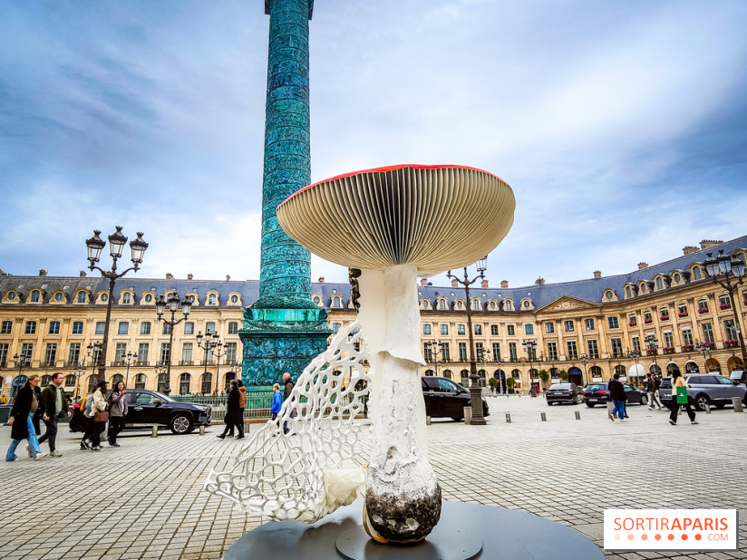 Art Basel Paris 2024 : des champignons géants décorent la place Vendôme - nos photos - IMG20241012121447