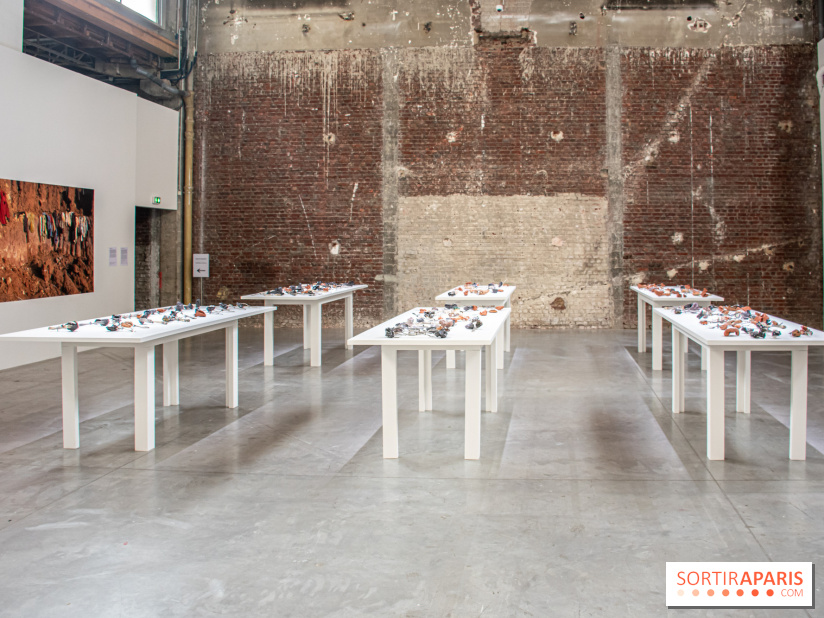 Exposition Praesentia de Myriam Mihindou au Palais de Tokyo - DSC 1616