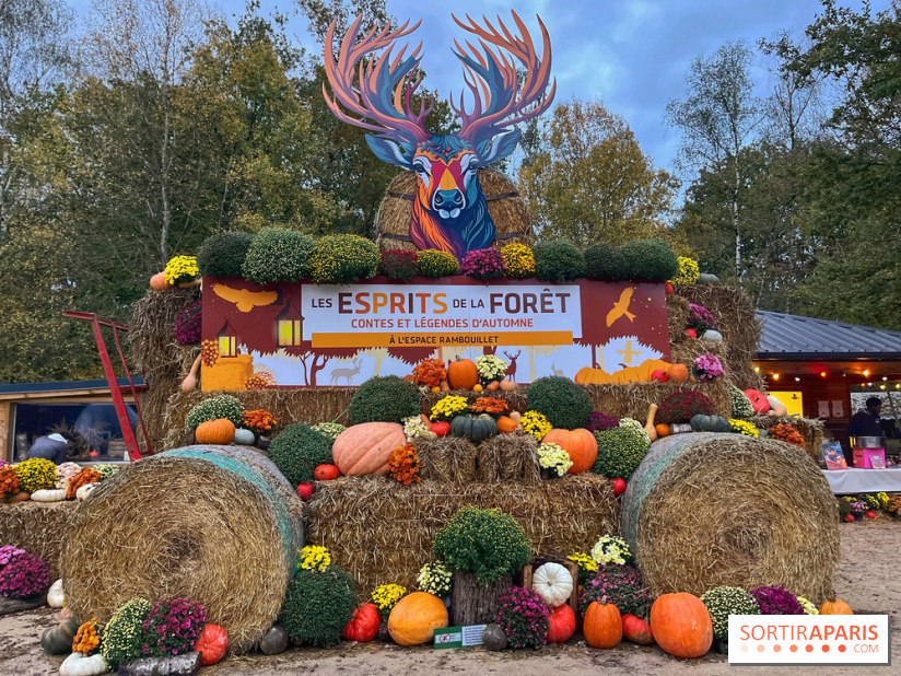 Les Esprits de la Forêt - IMG 5584