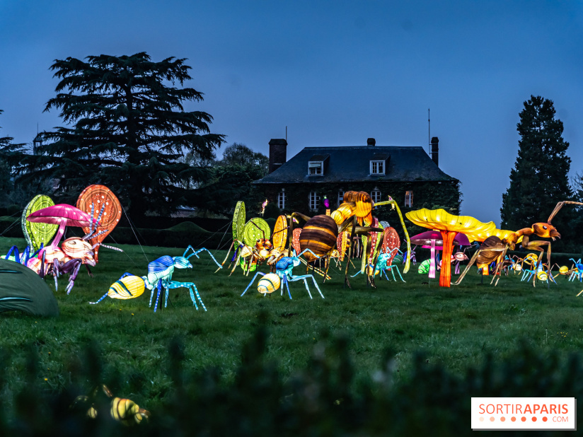 Thoiry Lumières Sauvages 2024, les Voyages Extraordinaires de Jules Verne - photos