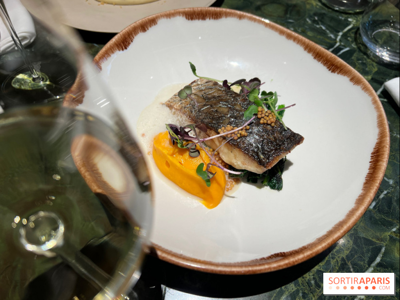 Onyx - Poisson, carotte, gingembre