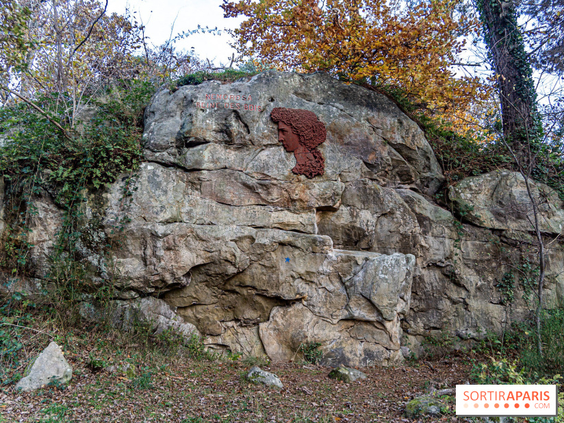 Randonnée à Fontainebleau : le sentier sur les pas de Denecourt jusqu’à la Tour Denecourt -  A7C7554