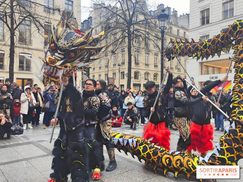 Défilé du Nouvel An Lunaire-Chinois Faubourg Saint-Honoré  - fotor 1738762270959