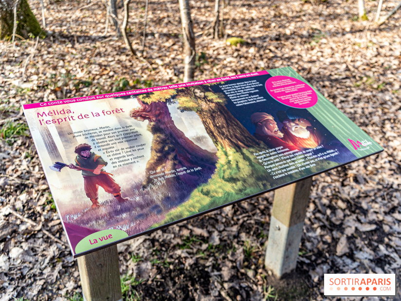 Balade sentier : Conte de Mélida, l'esprit de la forêt en forêt de Méridon (78) - A7C02306