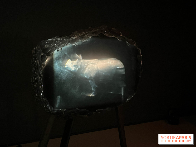 Paysages mouvants - IMG 8717