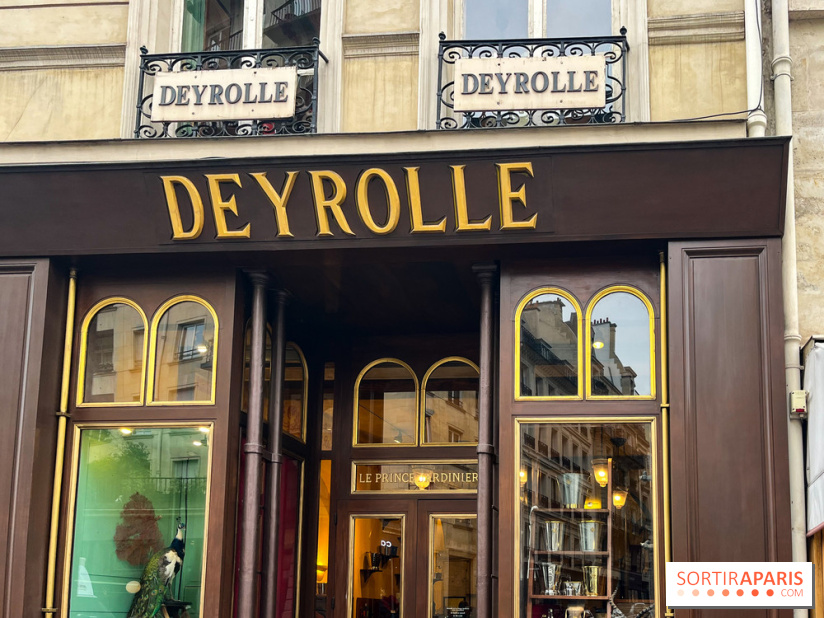 Deyrolle, l'incroyable cabinet de curiosités à Paris - nos photos - image00066