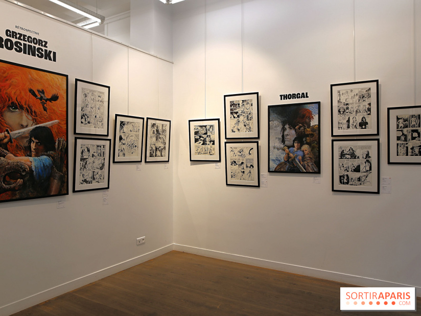 Rétrospective Grzegorz Rosinski, nos photos de l'expo gratuite à Paris - Expo Thorgal 18 fotor 20250425115835