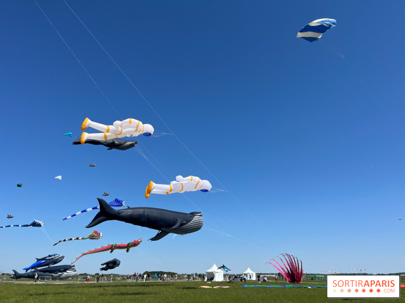 Festival de Cerfs-Volants à la Base 217 - IMG 2186