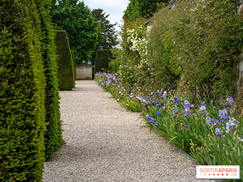 Exposition Van Gogh, les derniers voyages - photos - A7C08679