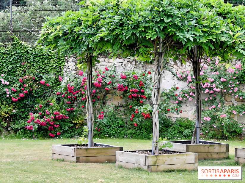 Maison Blanche le restaurant gastronomique du Mesnil Saint-Denis (93) - IMG 1038